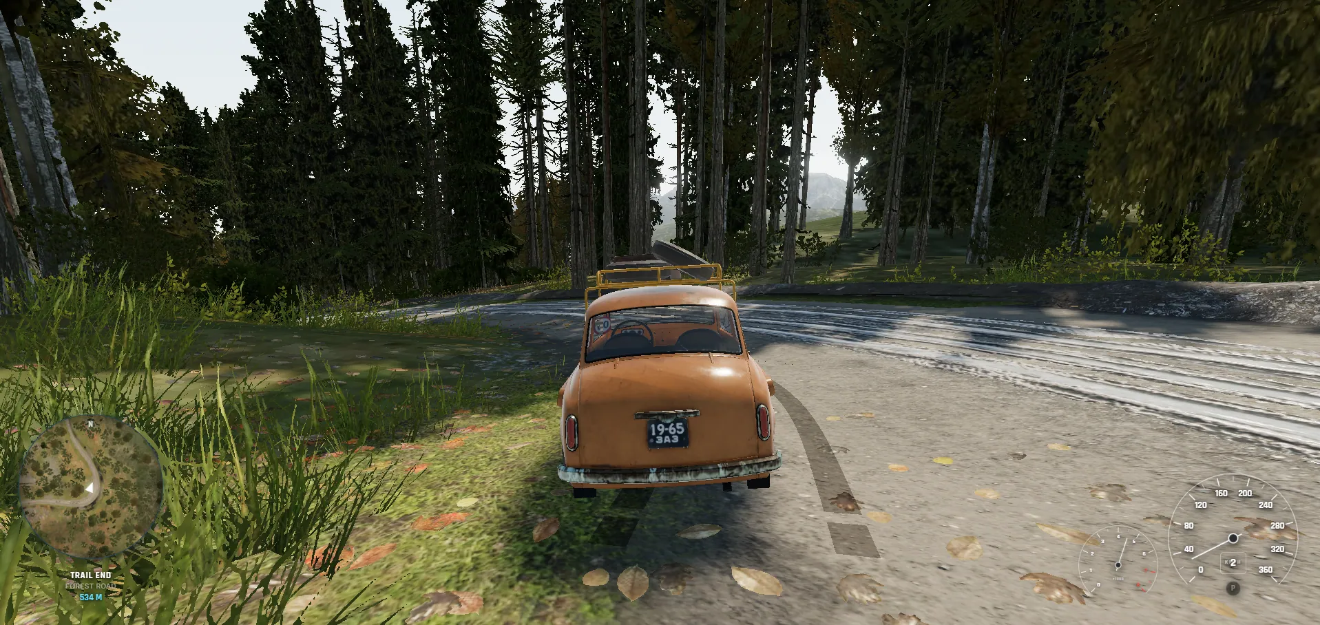 Forest road